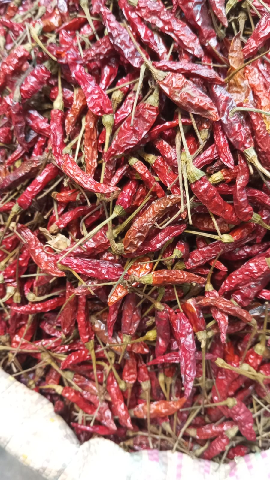 Mizo Bird's Eye Red Chilli (Whole) - Image 2
